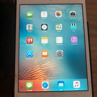 Ipad mini