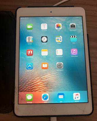 Ipad mini