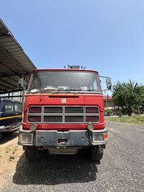 camion con gru forestale