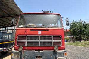 camion con gru forestale