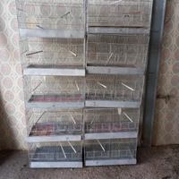 gabbia per uccelli 