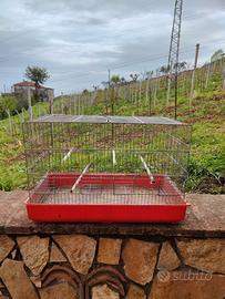 Gabbia per uccelli 