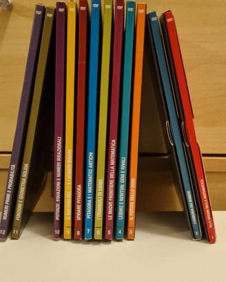 dvd l'avventura della matematica 