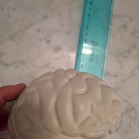 Cervello antistress morbido in lattice  Cervello i