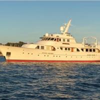 Yatch - Seagull of Cayman