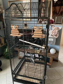 Gabbie per pappagalli
