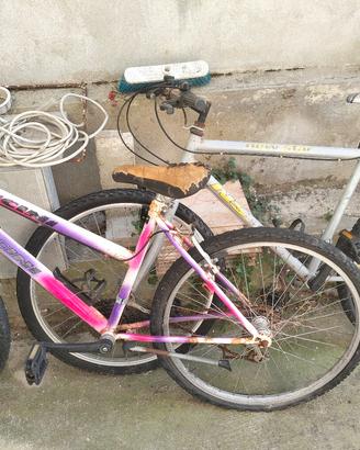 biciclette mountain-bike 