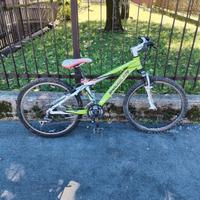 mountain bike verde 