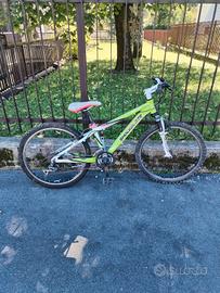 mountain bike verde 