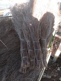 100  SCOPE IN SAGGINA NUOVE. COME UNA VOLTA