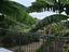 Immagine 6