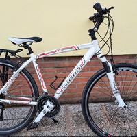 Bici Bottecchia Hybrid Alluminio