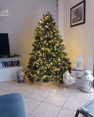Albero di natale 