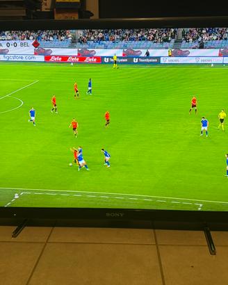 Tv 40” Sony Bravia Led FullHD funzionante