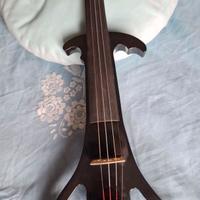 Violino elettrico 5 corde
