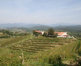 Cessione attività - Cividale del Friuli