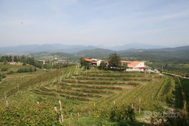 Cessione attività - Cividale del Friuli