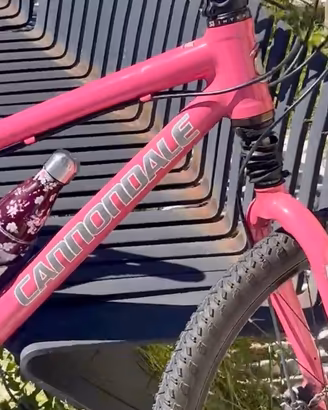 MTB CANNONDALE “CAFFEINE”HANDMADE USA (RUOTA 26’