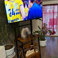 Porta TV con rotelle 