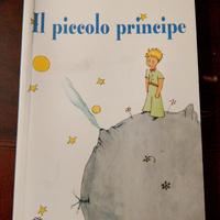 IL PICCOLO PRINCIPE 