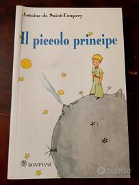 IL PICCOLO PRINCIPE 