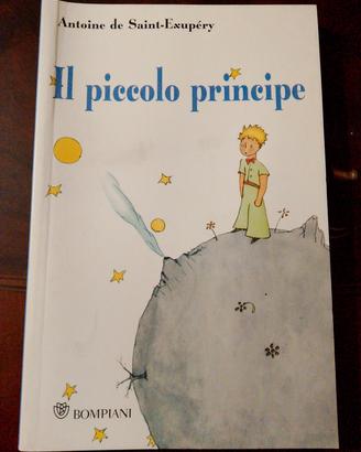 IL PICCOLO PRINCIPE 