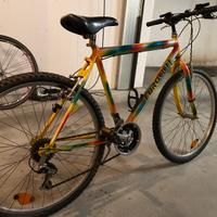 MTB Rampichino Eurocicli Shimano