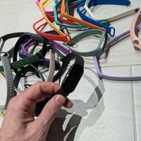 Xiaomi Mi Band 7 + cinturini di ricambi