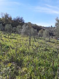 Terreno con locale tecnico e ruderi