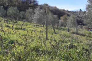 Terreno con locale tecnico e ruderi