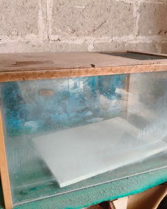 Terra acquario