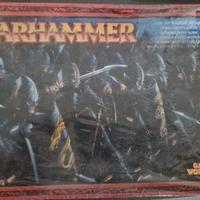 Guerrieri degli elfi oscuri - Warhammer