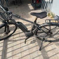 Bicicletta elettrica