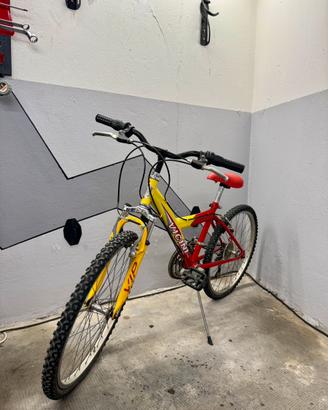 Mountain bike da bambino Vicini Scorpion Bay