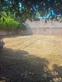 Terreno edificabile