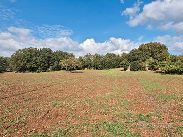 Terreno edificabile di 17.106 mq con fabbricato