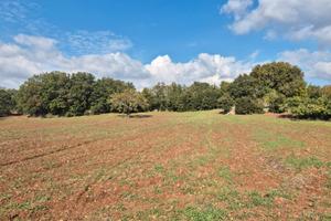 Terreno edificabile di 17.106 mq con fabbricato