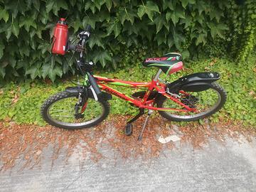 Bicicletta ragazzo 20"