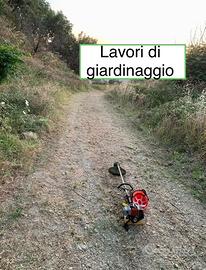 Giardinaggio