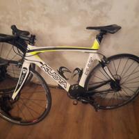 Kuota kult