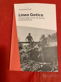 Libri Linea Gotica e I cecchini a Serayevo.