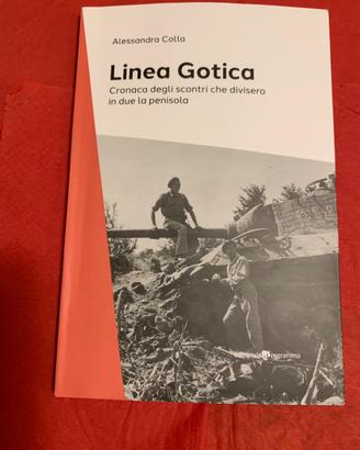 Libri Linea Gotica e I cecchini a Serayevo.