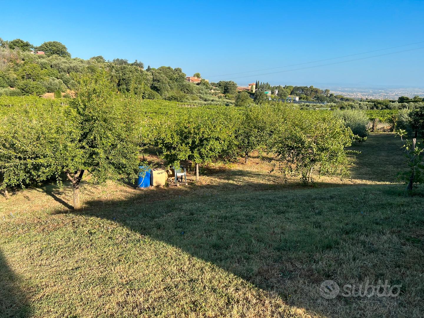 Terreno agricolo - View 5