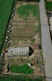 Terreno agricolo