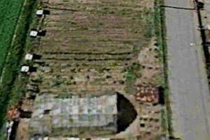 Terreno agricolo