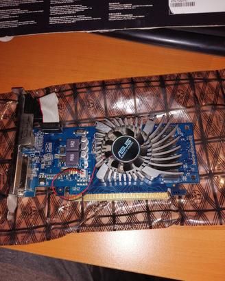 Scheda video nvidia geforce