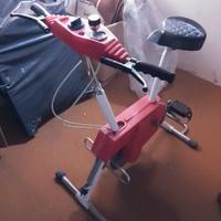 Cyclette peripoli Erg