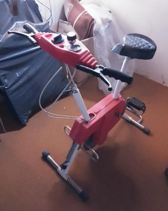 Cyclette peripoli Erg