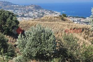 Terreno Residenziale Montepaone