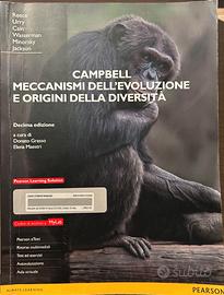 Meccanismi dell'evoluz. e origini della diversità